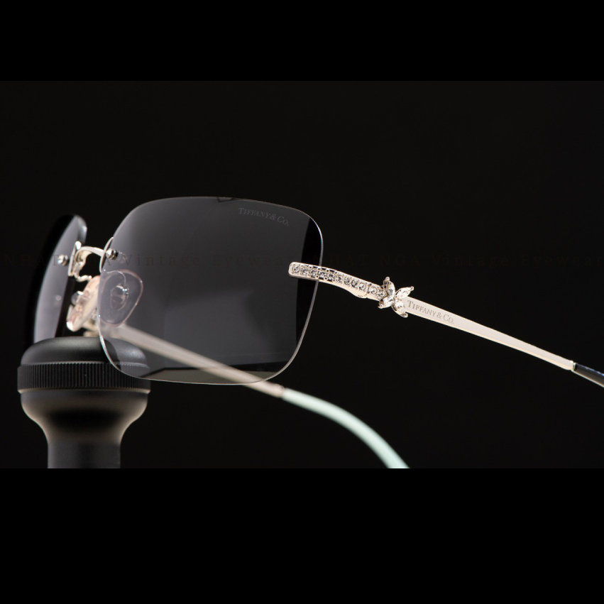 GỌNG KÍNH TIFFANY & CO TF3038B