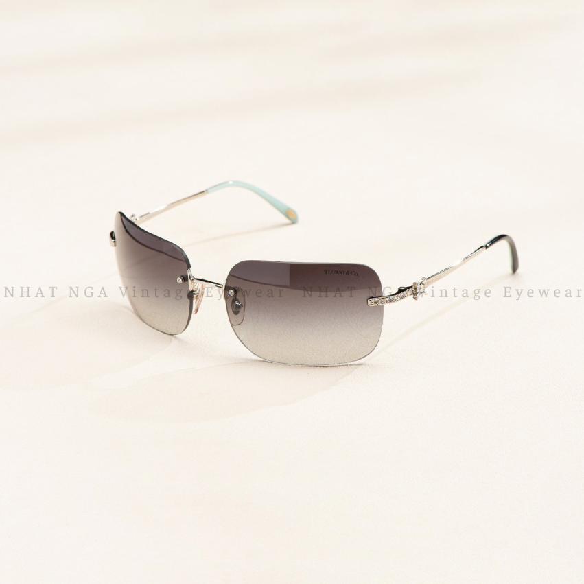 GỌNG KÍNH TIFFANY & CO TF3038B
